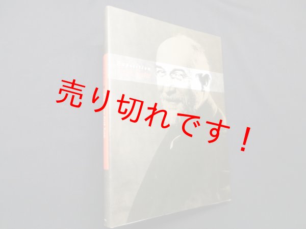 画像1: エリック・サティ展　オルネラ・ヴォルタ 監修/大森達次 訳 (1)