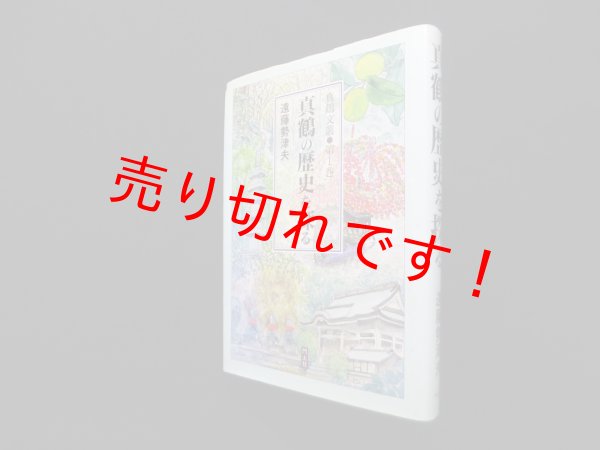 画像1: 真鶴の歴史を探る (真鶴文叢)　遠藤勢津夫 (1)