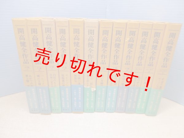 画像1: 開高健全作品 全12冊(小説9巻/エッセイ3巻) (1)