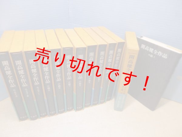 画像2: 開高健全作品 全12冊(小説9巻/エッセイ3巻) (2)