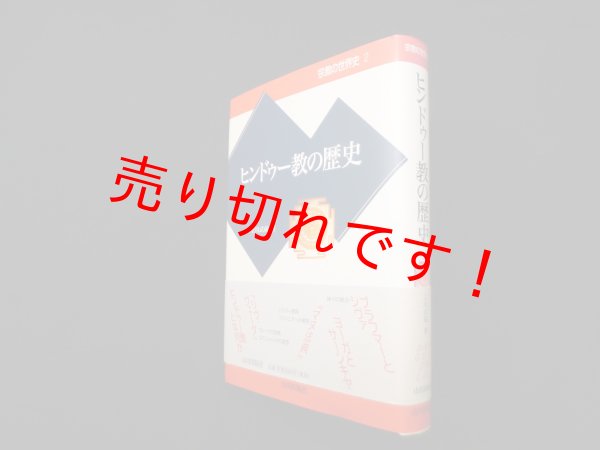 画像1: ヒンドゥー教の歴史 (宗教の世界史)　立川武蔵 (1)