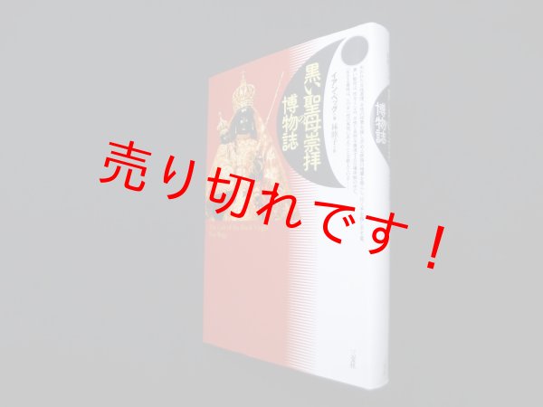 画像1: 黒い聖母崇拝の博物誌　イアン・ベッグ/林睦子 訳 (1)