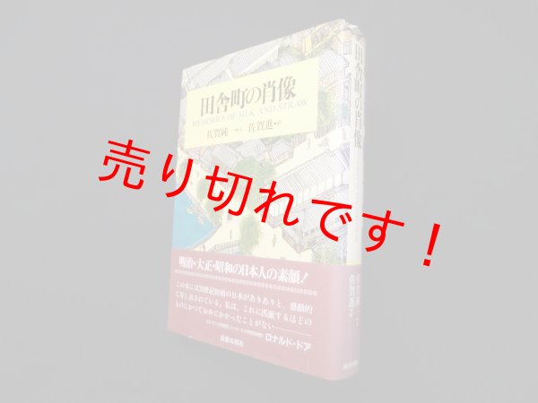 画像1: 田舎町の肖像　佐賀純一 文/佐賀進 絵 (1)