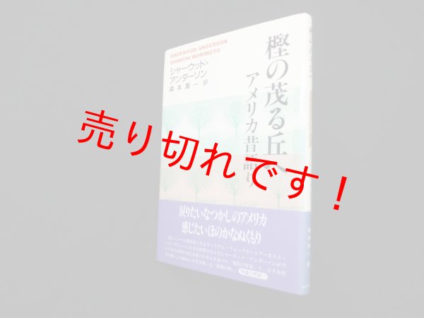 画像1: 樫の茂る丘へ―アメリカ昔語り　シャーウッド・アンダーソン/森本真一 訳 (1)
