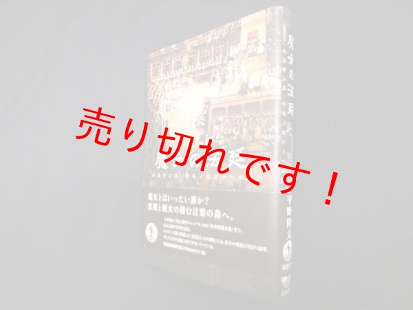 画像1: 魔女の法廷―ルネサンス・デモノロジーへの誘い　魔女の法廷―ルネサンス・デモノロジーへの誘い (1)