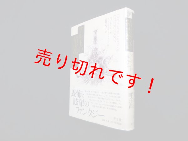 画像1: ケルトの精霊物語　ボブ・カラン/アンドルー・ウィットソン 絵/萩野弘巳 訳 (1)