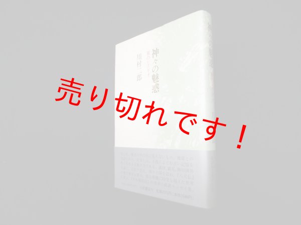 画像1: 神々の魅惑―旅のレリギオ　川村二郎 (1)