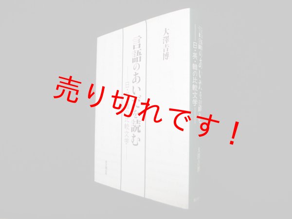 画像1: 言語のあいだを読む　大澤吉博 (1)