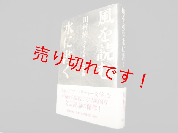 画像1: 風を読む水に書く―マイノリティー文学論　川村湊 (1)