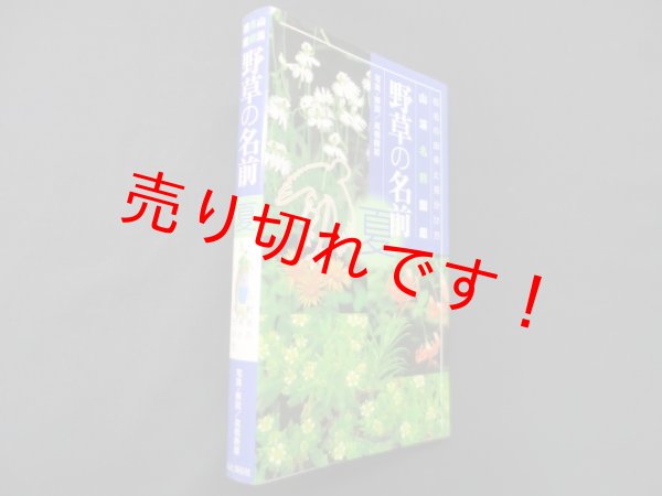 画像1: 野草の名前 夏―和名の由来と見分けかた (山渓名前図鑑)　高橋勝雄 写真・解説 (1)