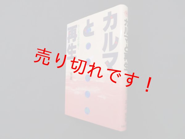 画像1: カルマと再生　生と死の謎を解く　本山博 (1)