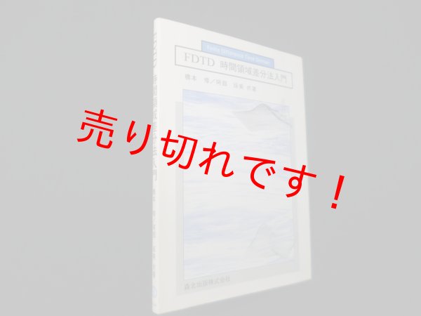 画像1: FDTD時間領域差分法入門　橋本修 他 (1)