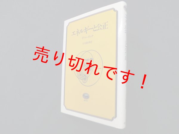 画像1: エネルギーと公正　イヴァン・イリッチ 著/大久保直幹 訳 (1)