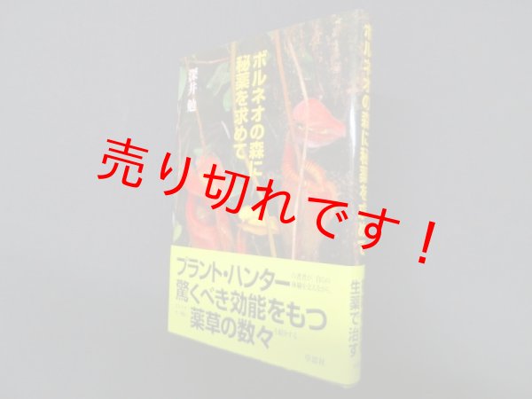 画像1: ボルネオの森に秘薬を求めて　深井勉 (1)