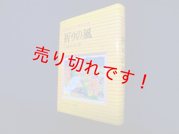 画像1: 祈りの風―信徒のための聖書日課　安藤仲市 (1)