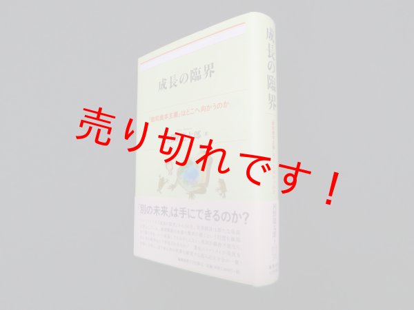 画像1: 成長の臨界―「飽和資本主義」はどこへ向かうのか　河野龍太郎 (1)