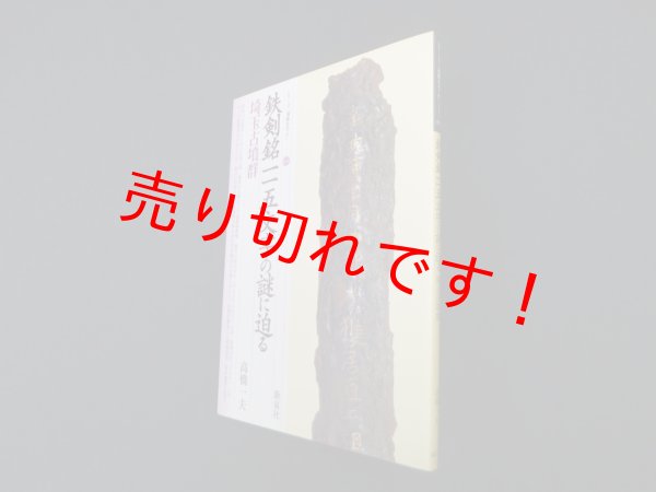 画像1: 鉄剣銘一一五文字の謎に迫る―埼玉古墳群(シリーズ「遺跡を学ぶ」)　高橋一夫 (1)