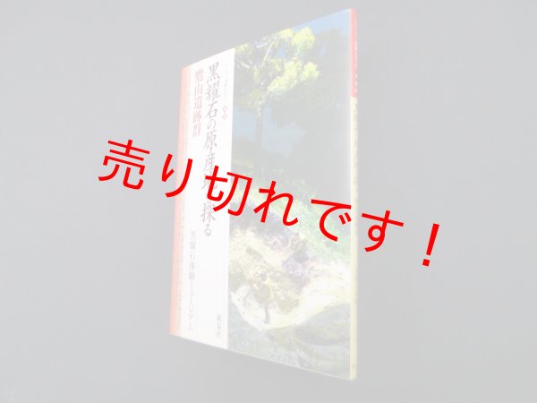 画像1: 黒耀石の原産地を探る―鷹山遺跡群 (シリーズ「遺跡を学ぶ」別冊)　黒曜石体験ミュージアム 編 (1)