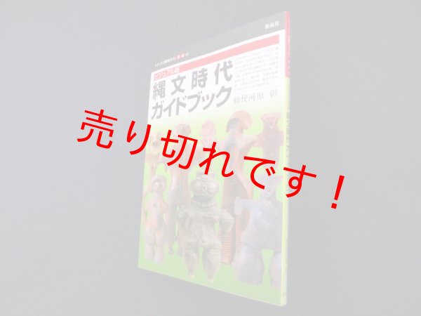 画像1: ビジュアル版 縄文時代ガイドブック(シリーズ「遺跡を学ぶ」別冊03)　勅使河原彰 (1)