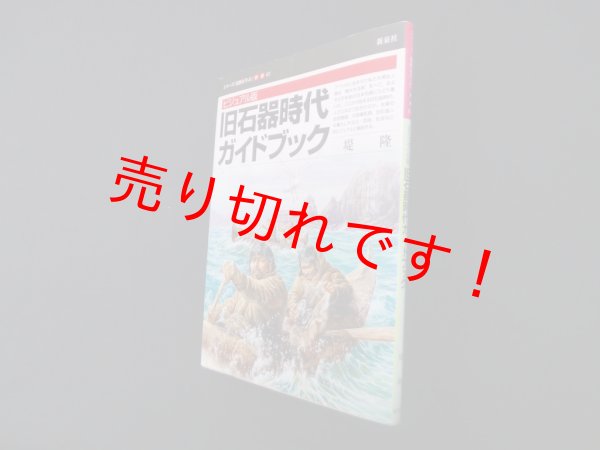 画像1: ビジュアル版 石器時代ガイドブック(シリーズ「遺跡を学ぶ」別冊02)　堤隆 (1)