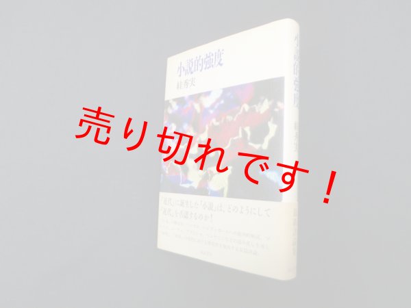 画像1: 小説的強度　?秀実 (1)