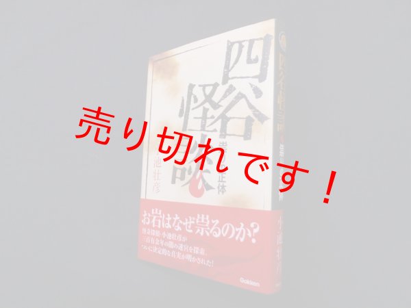 画像1: 四谷怪談―祟りの正体 (知の冒険シリーズ)　小池壮彦 (1)