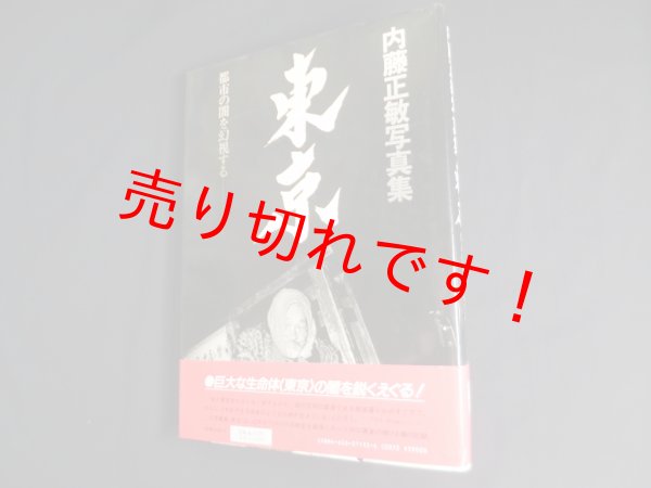 画像1: 内藤正敏写真集　東京　内藤正敏 (1)
