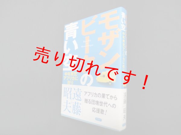 画像1: モザンビークの青い空―中年男児アフリカに在り　遠藤昭夫 (1)