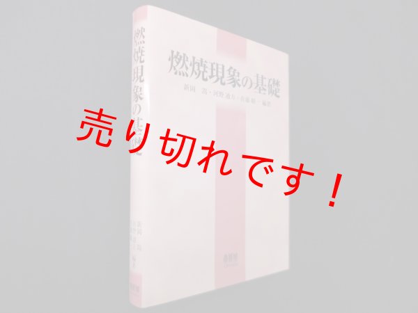 画像1: 燃焼現象の基礎　新岡嵩 他 (1)