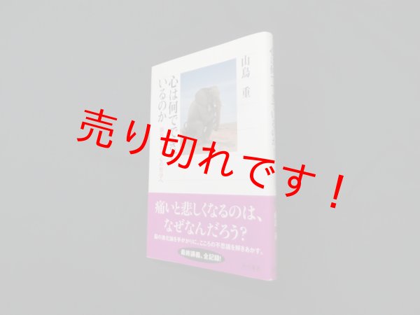 画像1: 心は何でできているのか―脳科学から心の哲学へ (角川選書)　山鳥重 (1)