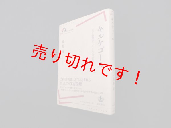 画像1: キルケゴール―美と倫理のはざまに立つ哲学（岩波現代全書）　藤野寛 (1)