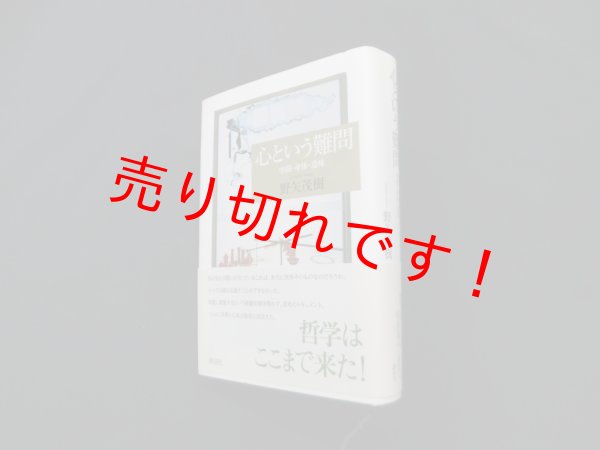 画像1: 心という難問―空間・身体・意味　野矢茂樹 (1)