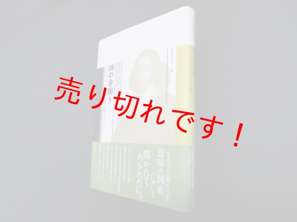 画像1: 神の身振り―スピノザ『エチカ』における場について (叢書言語の政治)　アルフォンソ・カリオラート 他/藤井千佳世 他訳 (1)