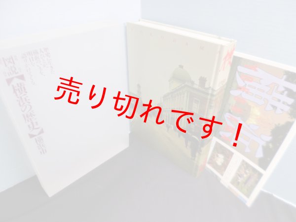 画像1: 図説横浜の歴史 市政100周年 開港130周年　同書編集委員会 編 (1)