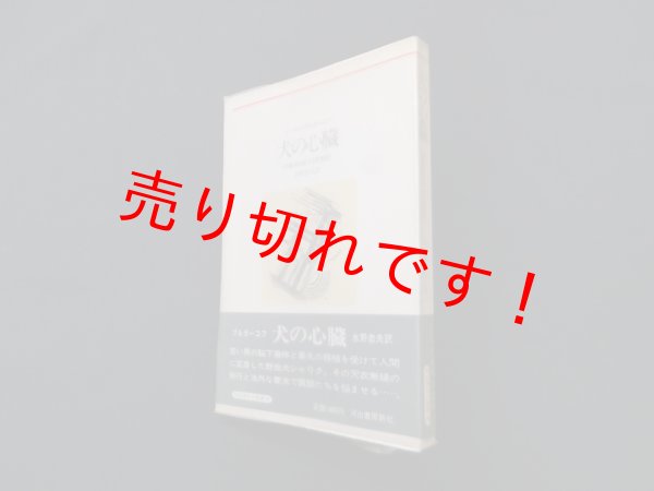 画像1: 犬の心臓（河出海外小説選）ミハイル・ブルガーコフ/水野忠夫 訳 (1)