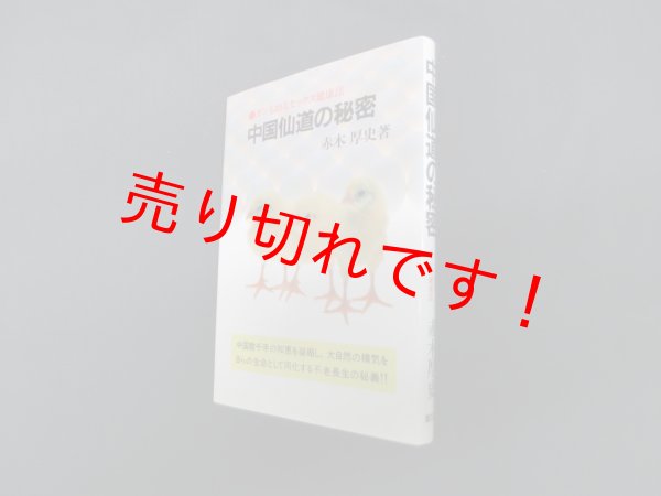画像1: 中国仙道の秘密―ガンも治るセックス健康法　赤木幸一 (1)