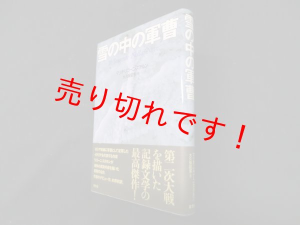 画像1: 雪の中の軍曹　マリオ・リゴーニ・ステルン/大久保昭男 訳 (1)