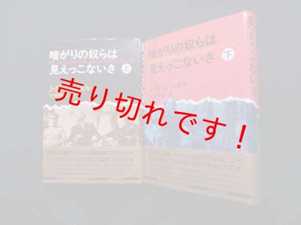 画像1: 暗がりの奴らは見えっこないさ　上下2冊揃　J.M.ジンメル/大崎隆彦 訳 (1)