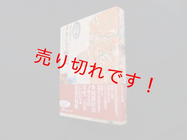 画像1: メキシコの歴史　国本伊代 (1)