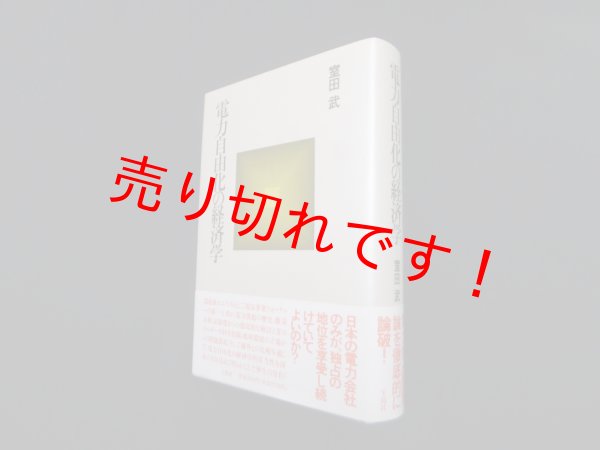 画像1: 電力自由化の経済学　室田武 (1)