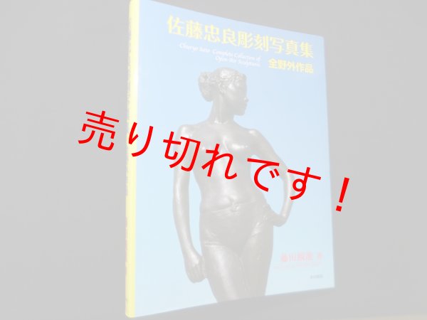 画像1: 佐藤忠良彫刻写真集―全野外作品　藤田観龍 (1)