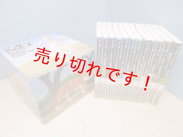 画像1: ブッダ　全12冊セット（潮ビジュアル文庫）　手塚治虫 (1)