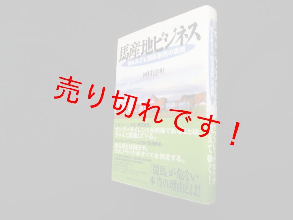 画像1: 馬産地ビジネス―知られざる「競馬業界」の裏側　河村清明 (1)