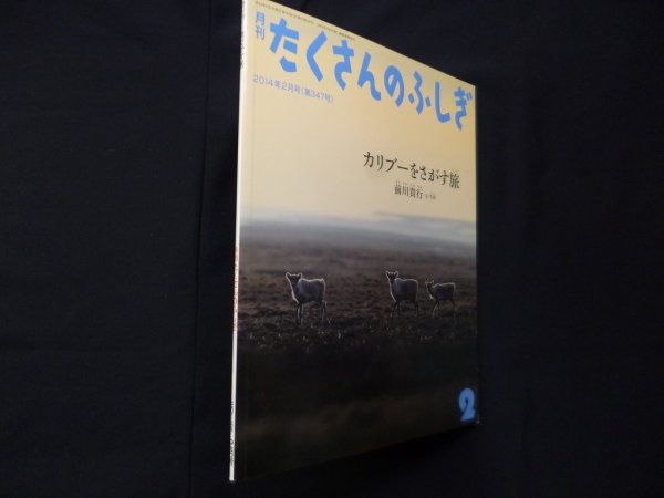 画像1: 月刊たくさんのふしぎ　2014年2月号　カリブーをさがす旅　前川貴行 文・写真 (1)