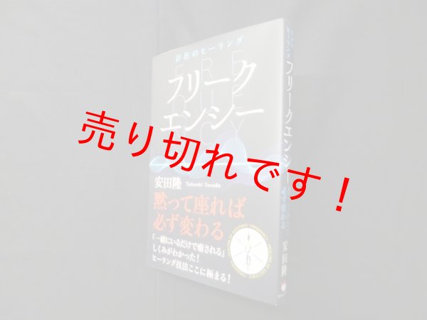 画像1: 存在のヒーリング フリークエンシー ―黙って座れば必ず変わる　安田隆 (1)