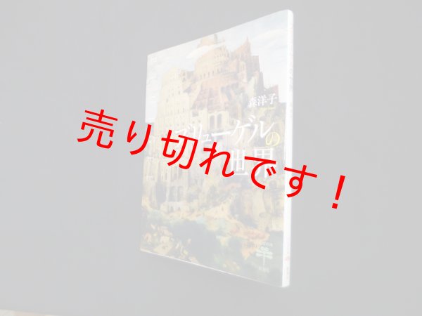 画像1: ブリューゲルの世界 (とんぼの本)　森洋子 (1)