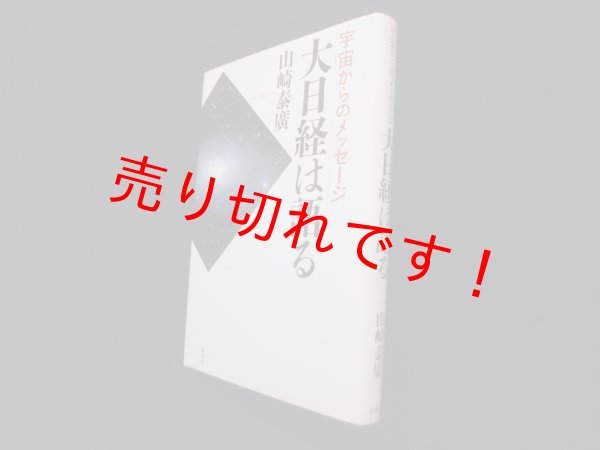 画像1: 宇宙からのメッセージ　大日経は語る　山崎泰廣 (1)