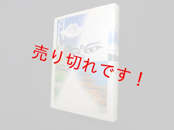 画像1: 白い虎　ダーヤマン・ラナ/佐伯和彦 訳 (1)