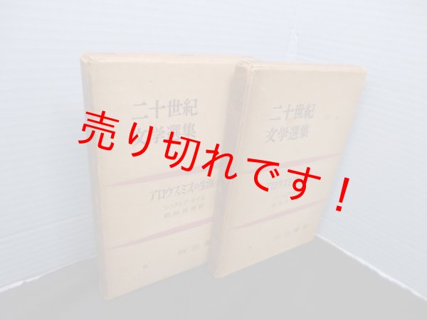 画像1: 二十世紀文学選集　アロウスミスの生涯　上下2冊セット　シンクレア・ルイス/鵜飼長寿 訳 (1)