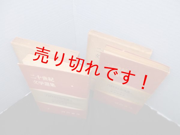画像3: 二十世紀文学選集　アロウスミスの生涯　上下2冊セット　シンクレア・ルイス/鵜飼長寿 訳 (3)